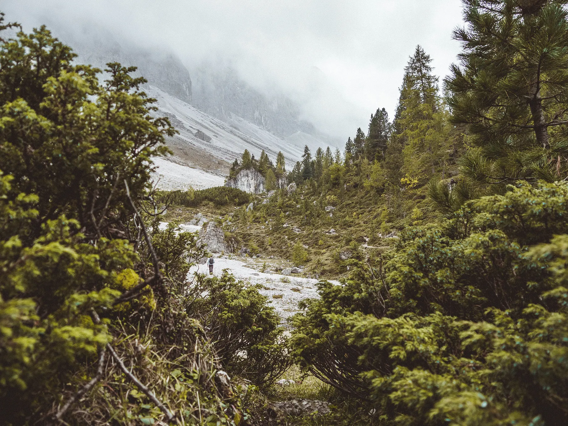 image of a trail in the italian dolomites