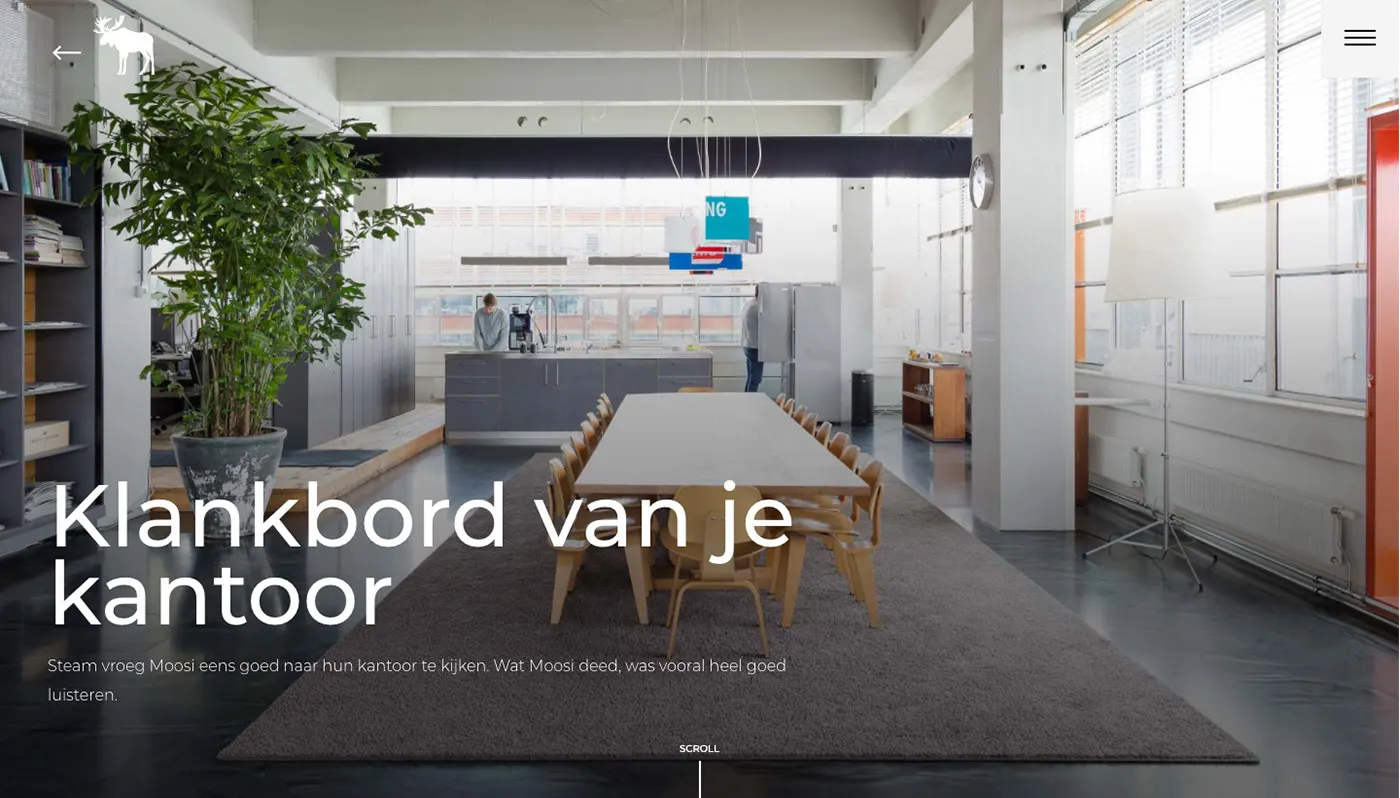screenshot of website design