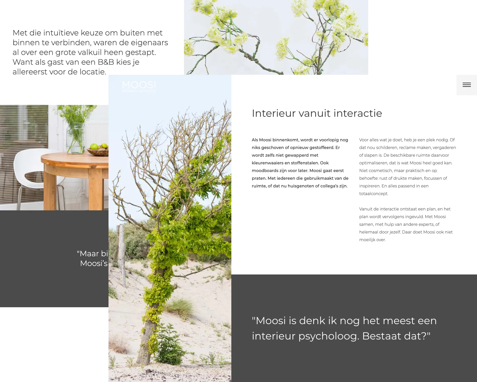 design with personal information about moosi